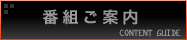 �p���_�C�X�ԑg�ē�